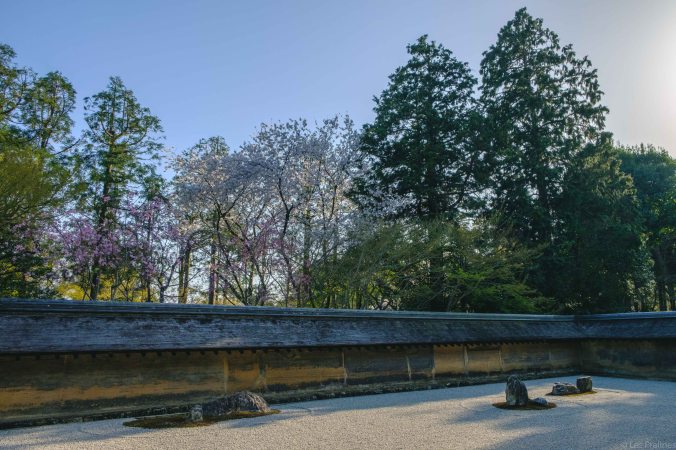 20180330-DSCF9692-Asie-HDR-Japon-Honshu