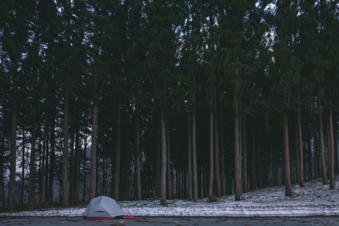 20180404-DSCF9894-Asie-Japon-Honshu