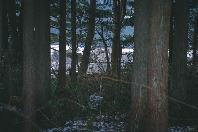 20180404-DSCF9900-Asie-Japon-Honshu